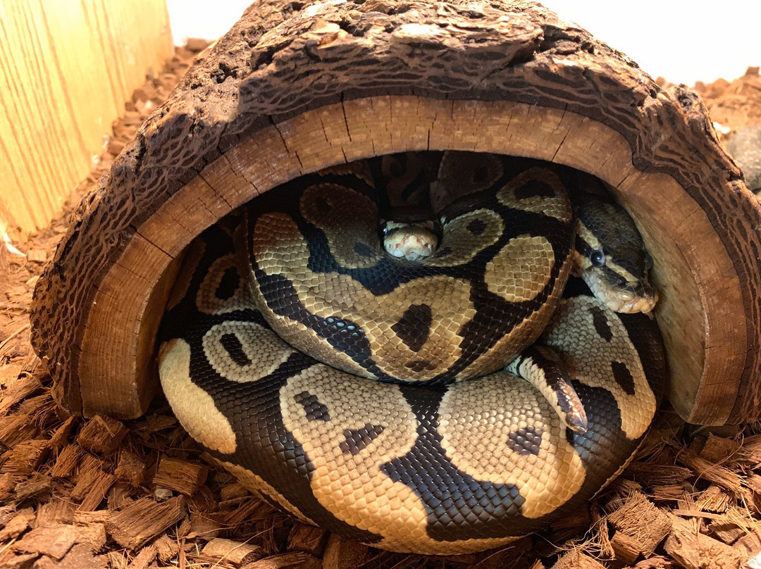 Sweetbriar Nature Center