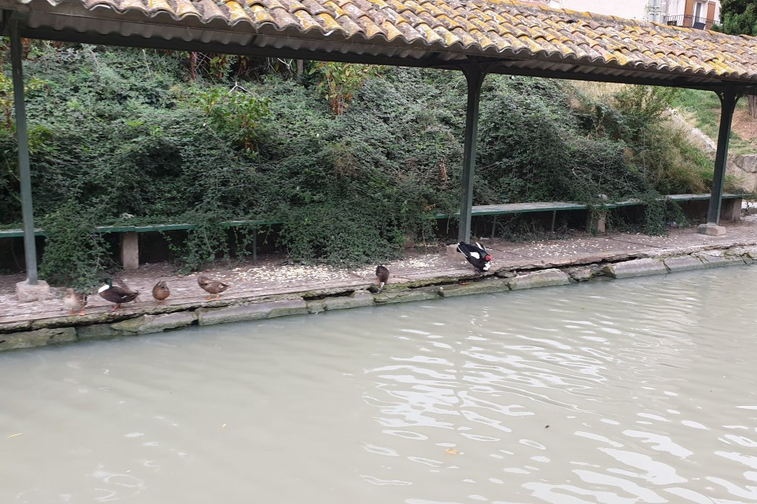 Bateau Le Colombiers-Colombiers必去景点