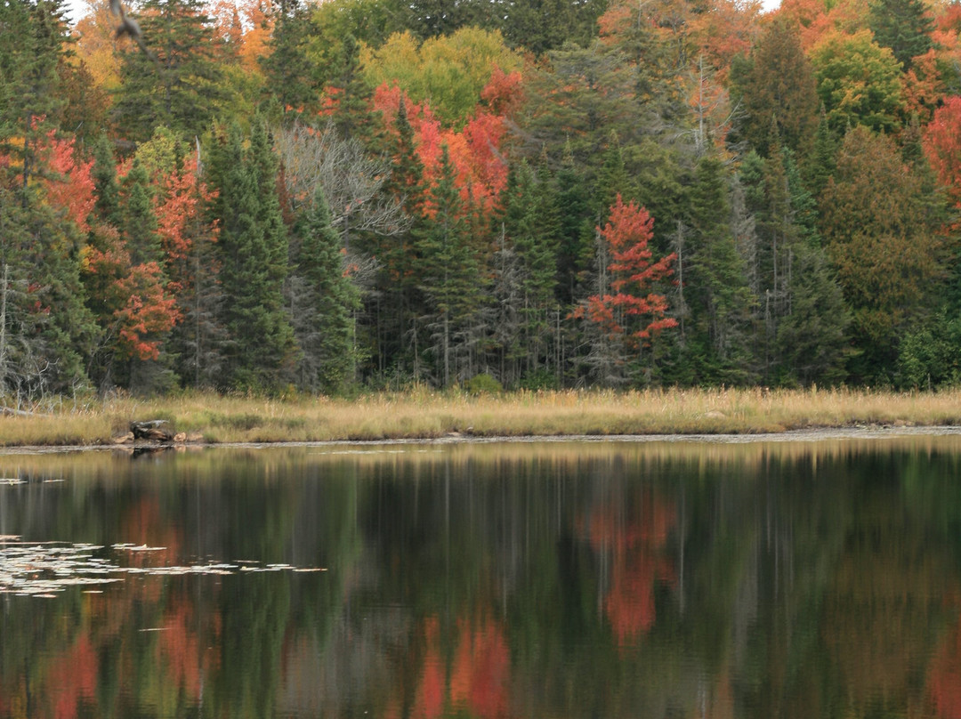 Algonquin Provincial Park景点图片