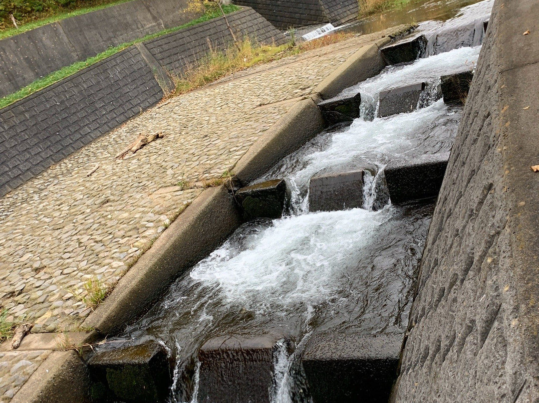 Pereke River Shore Park-斜里町必去景点