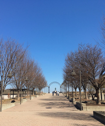 The Belvedere景点门票图片