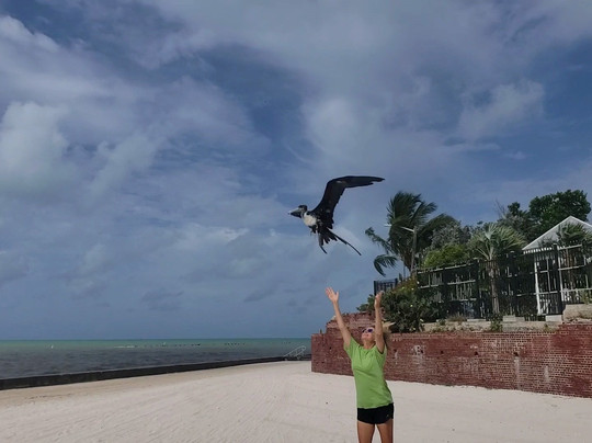 Key West Wildlife Center-基韦斯特必去景点