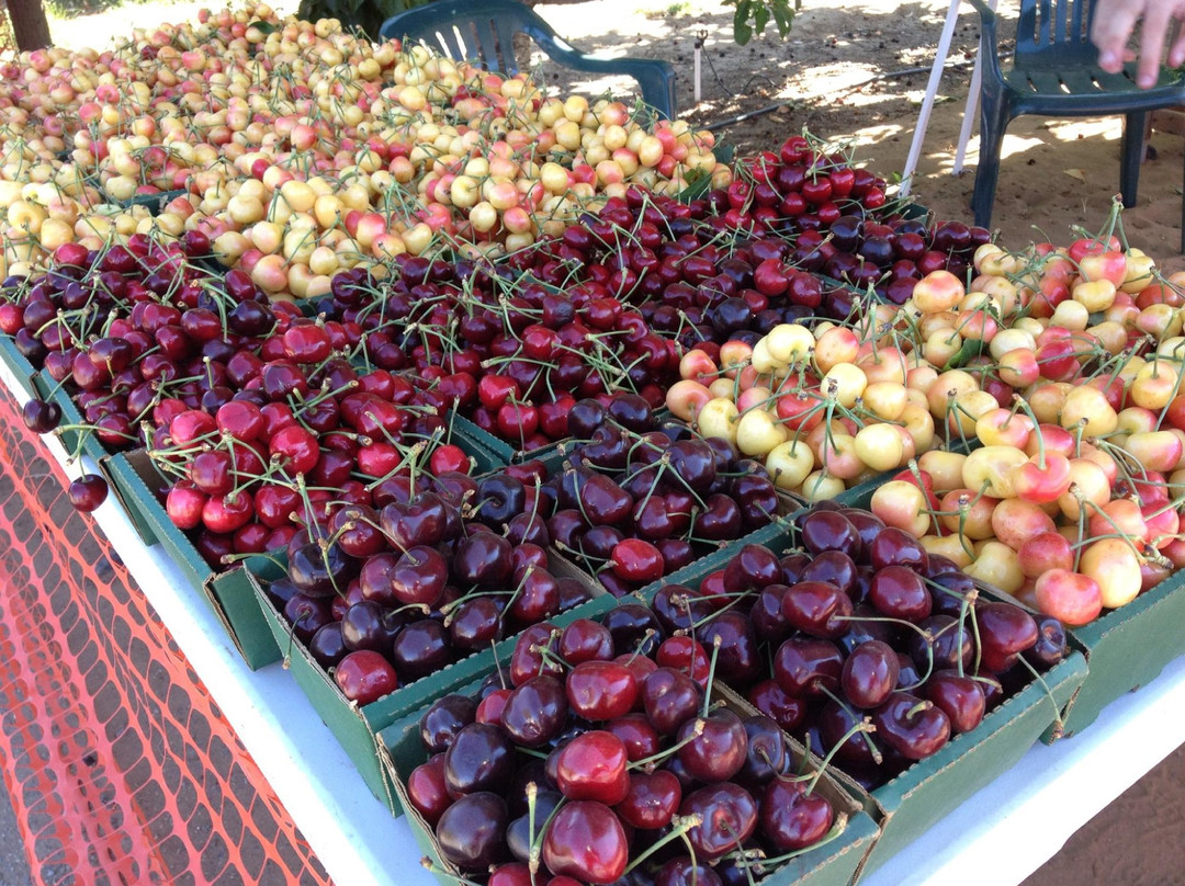 Oakley旅游景点-Laird’s Cherries