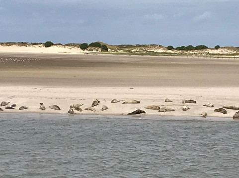 Baltrum Linie-Baltrum必去景点