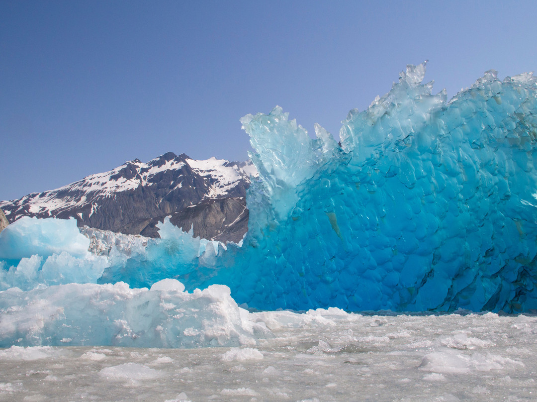 Glacier Bay Photo Tours景点图片