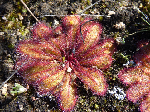 Hidden Hollow-Narembeen必去景点