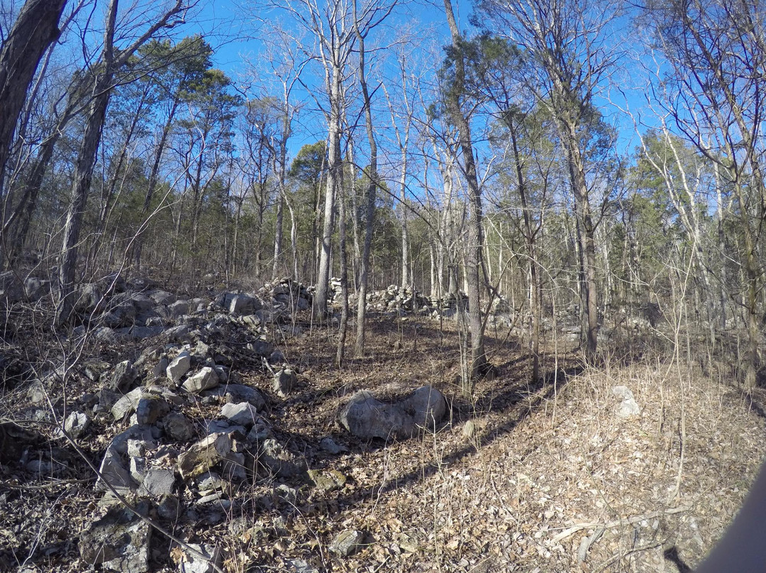 New Market旅游景点-Wade Mountain Nature Preserve