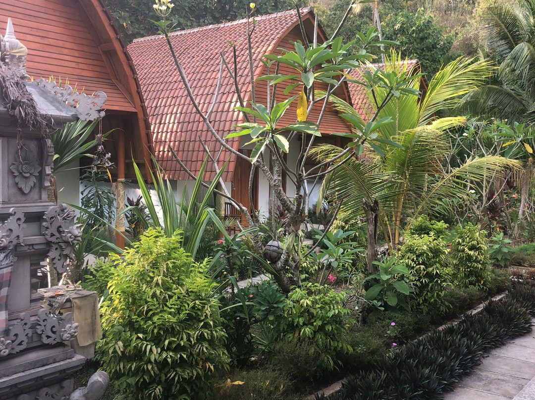 Komurd Lavender Bungalow