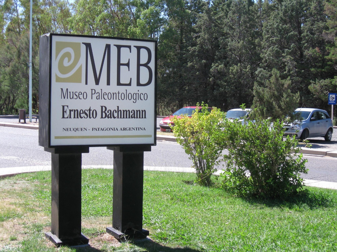 Museo Municipal Ernesto Bachmann景点图片