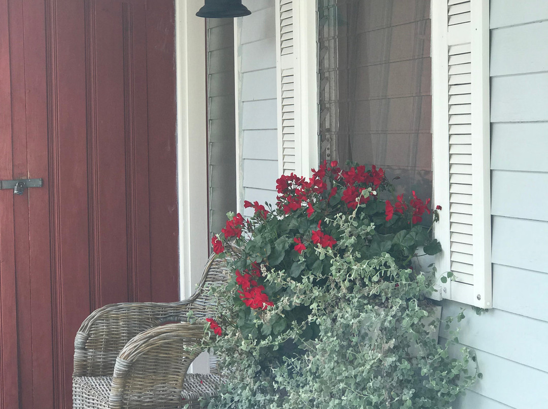 Treehouse Lodge主图