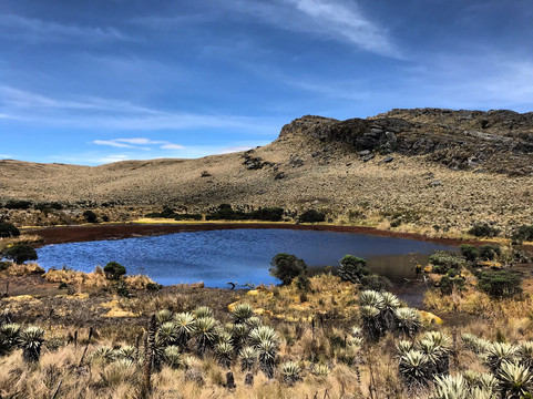 Road Trip Colombia-波哥大必去景点