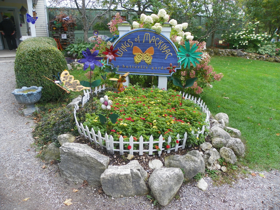Wings of Mackinac Butterfly Conservatory景点图片