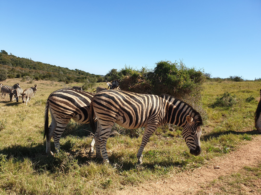 Claim Victory-Bellville必去景点