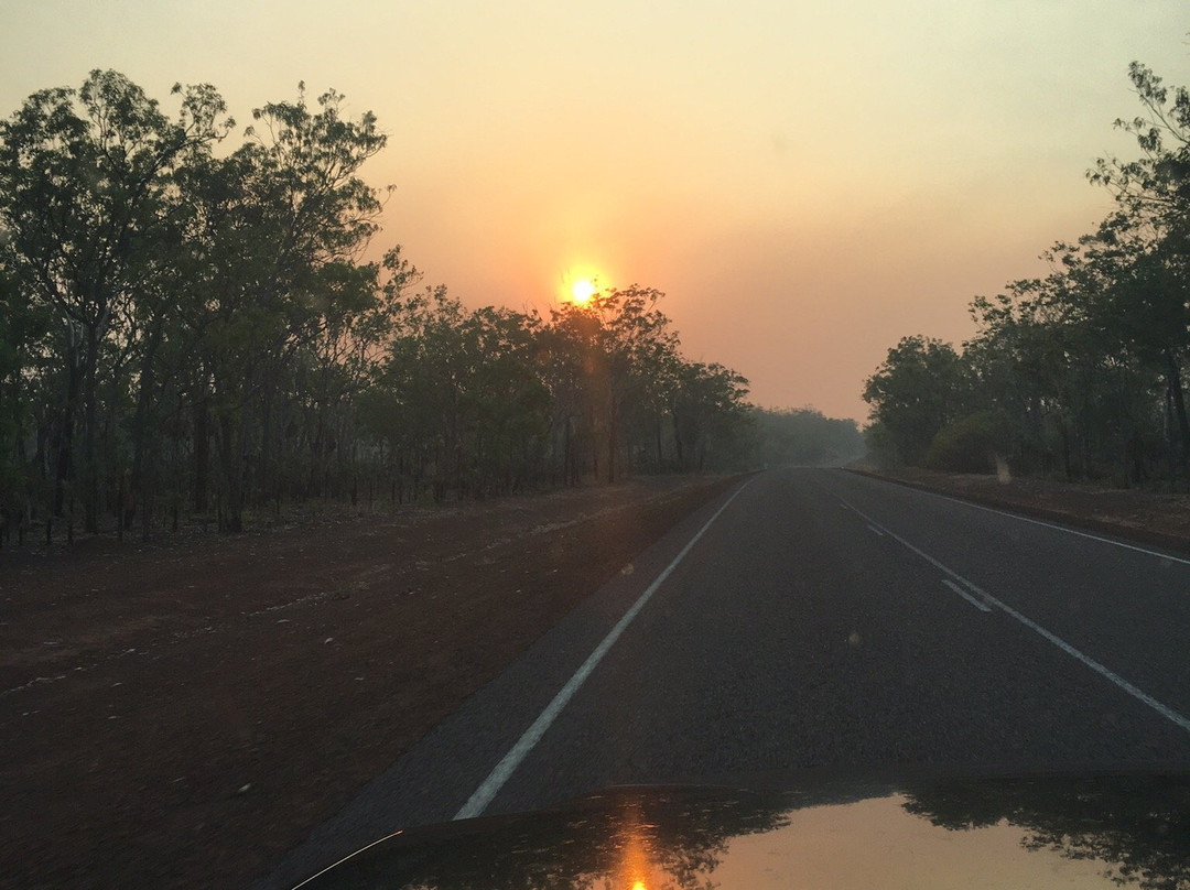 Territory Experiences One Day Tours-达尔文市必去景点