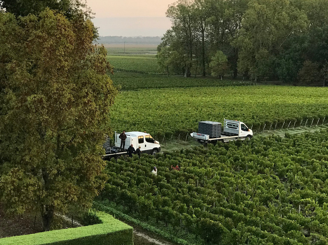 Hôtel de Margaux主图