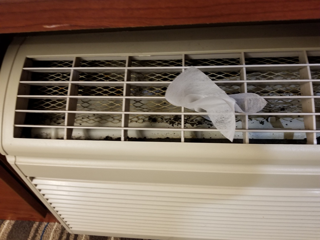 Microtel Inn & Suites By Wyndham Manistee主图