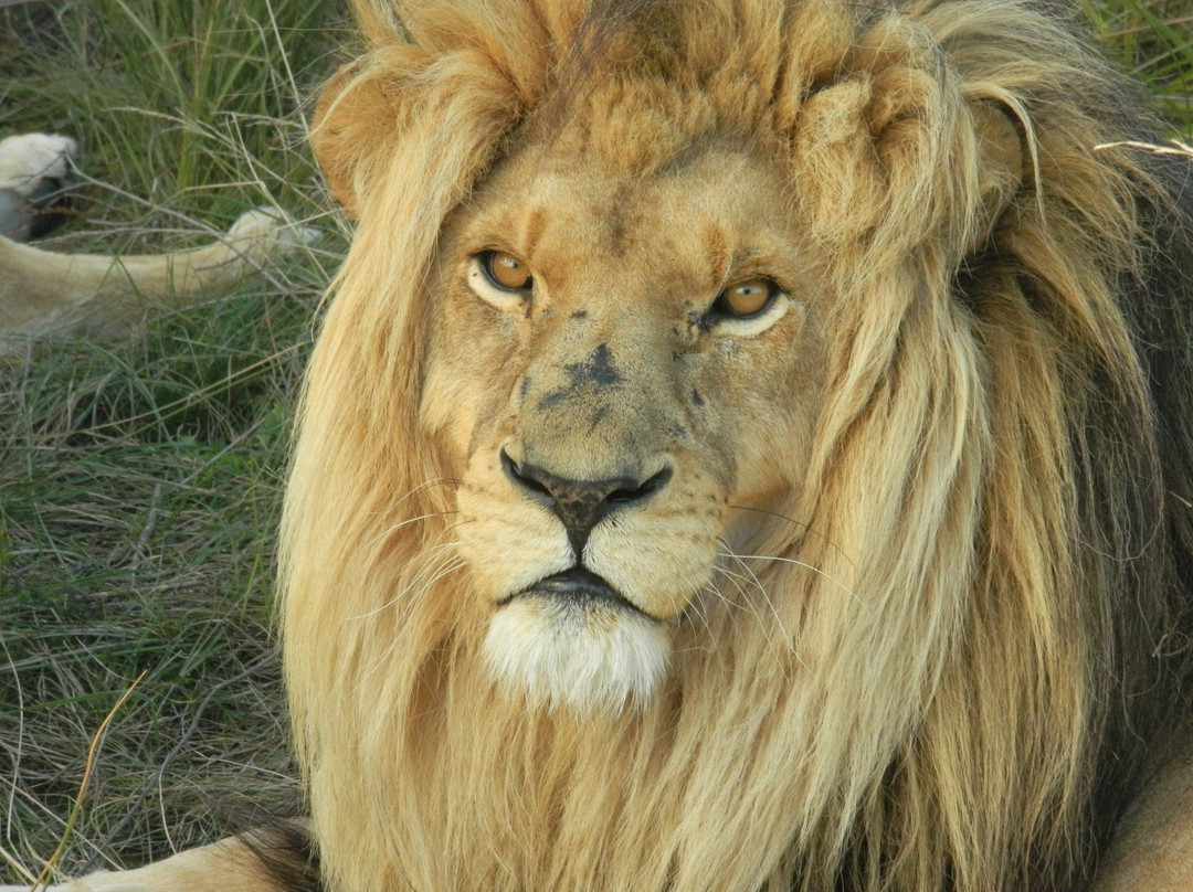 Claim Victory-Bellville必去景点