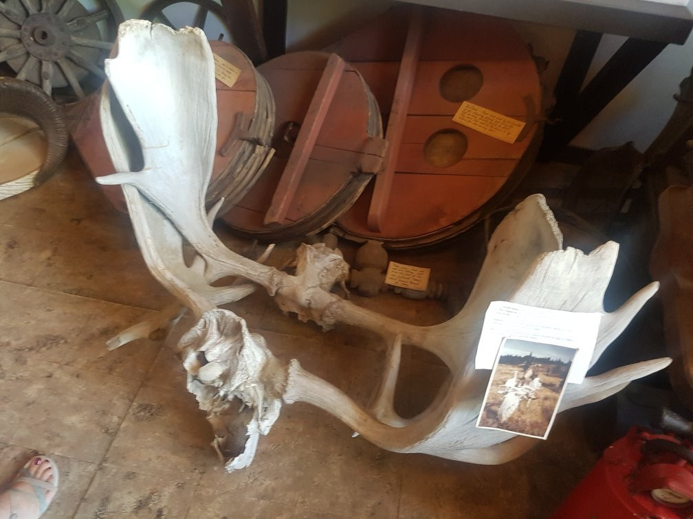 Lillooet Museum-Lillooet必去景点