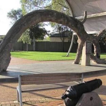 Old Gum Tree Reserve景点图片