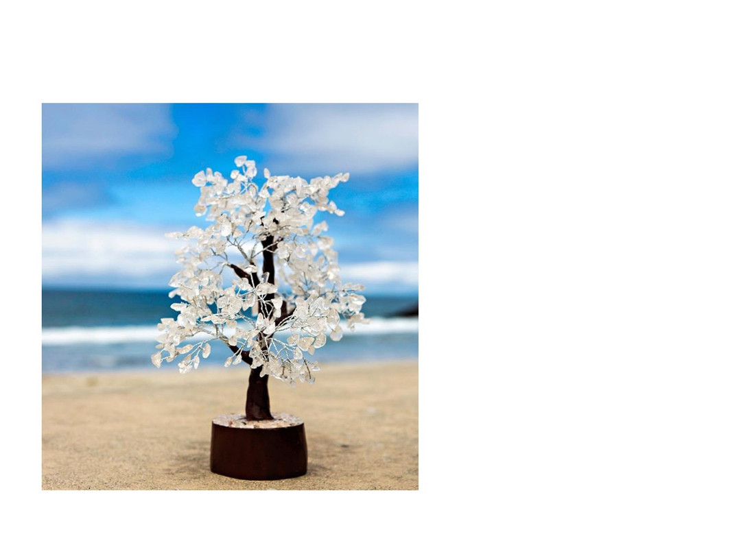 Lotus-索拉纳海滩必去景点