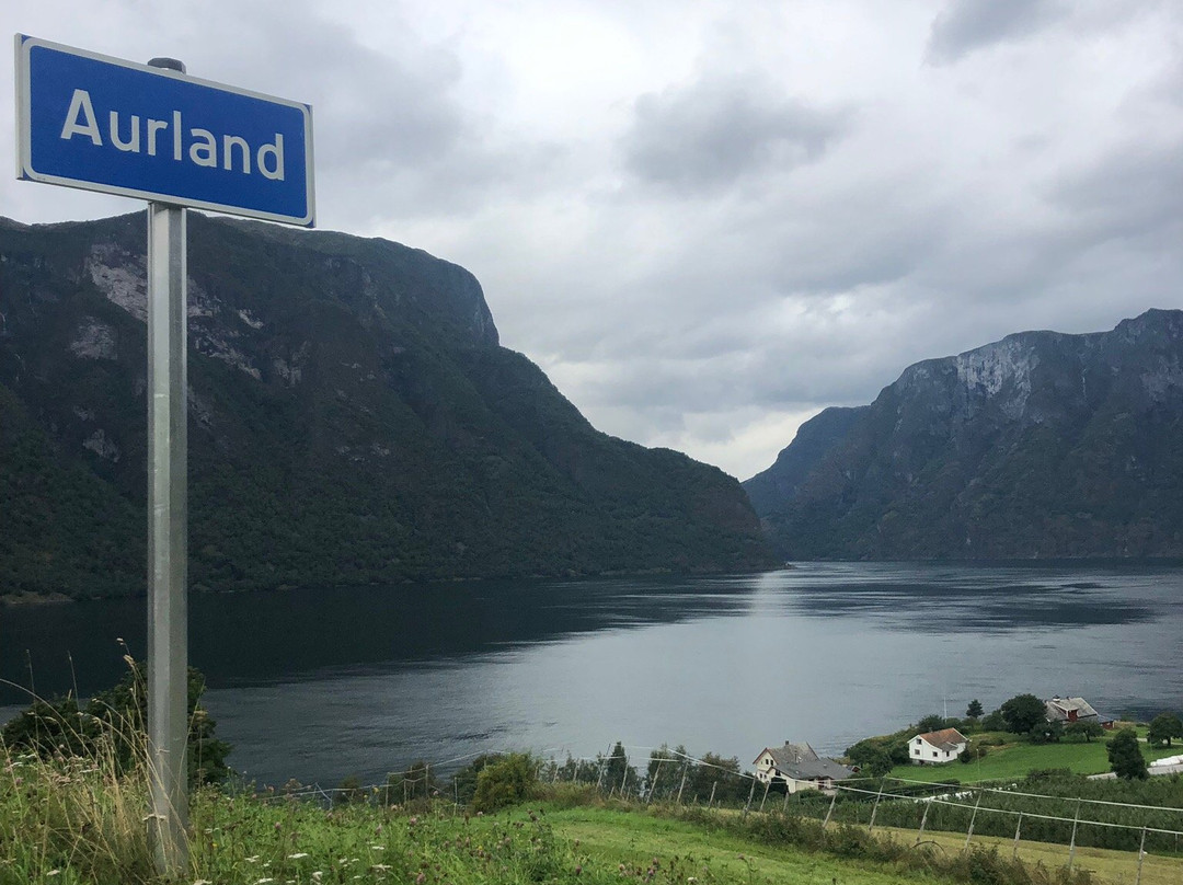 Aurlandsfjellet National Tourist Route景点图片