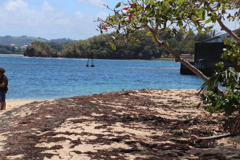Plage de Cosmy-La Trinite必去景点