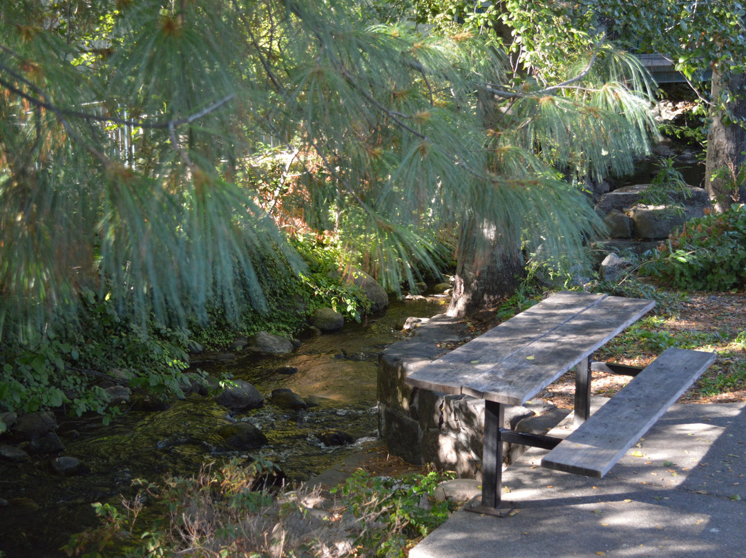 Bluebird Park-阿什兰必去景点