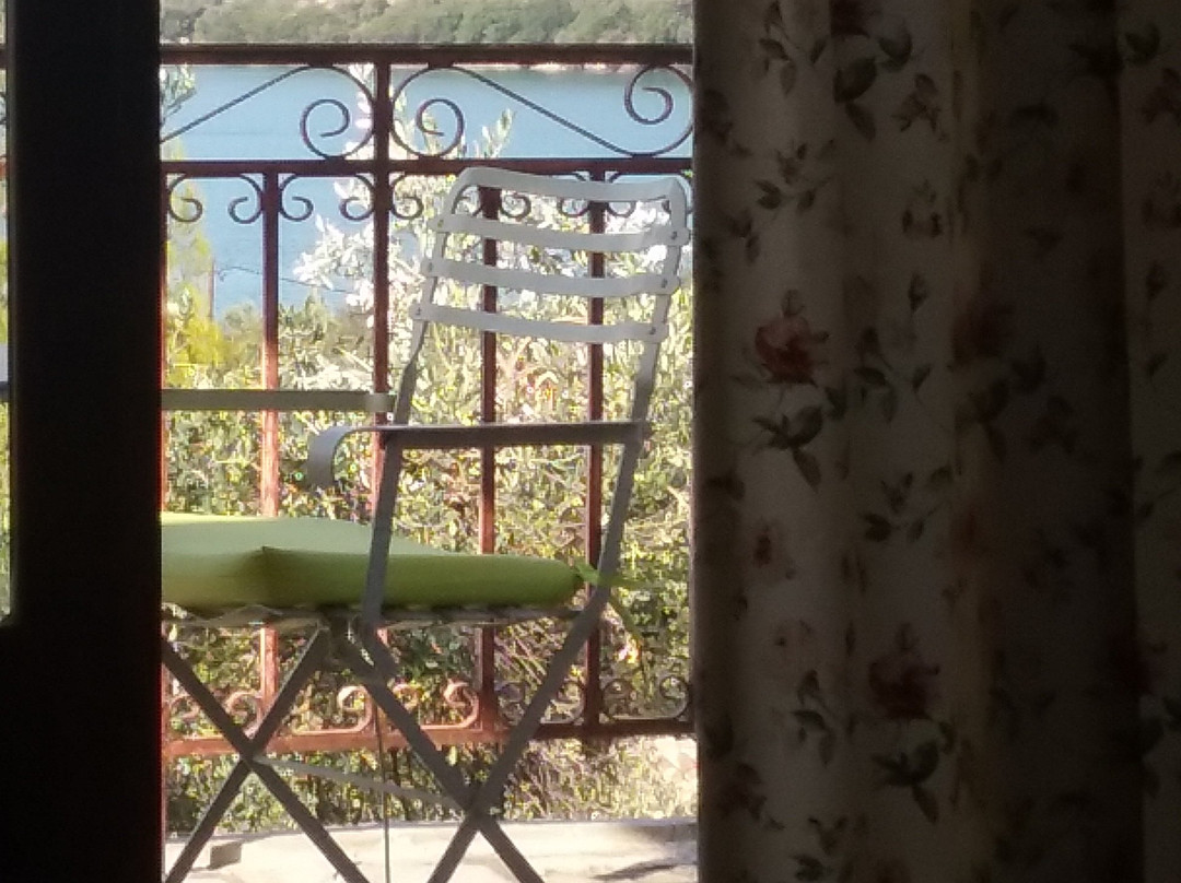 Gera's Olive Grove主图