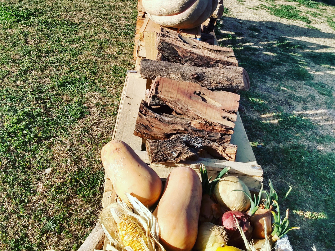 Casa El Enemigo-Maipu必去景点