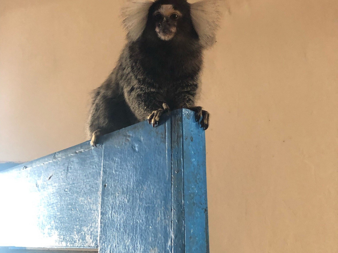 KSM Kite School Cumbuco-Cumbuco必去景点