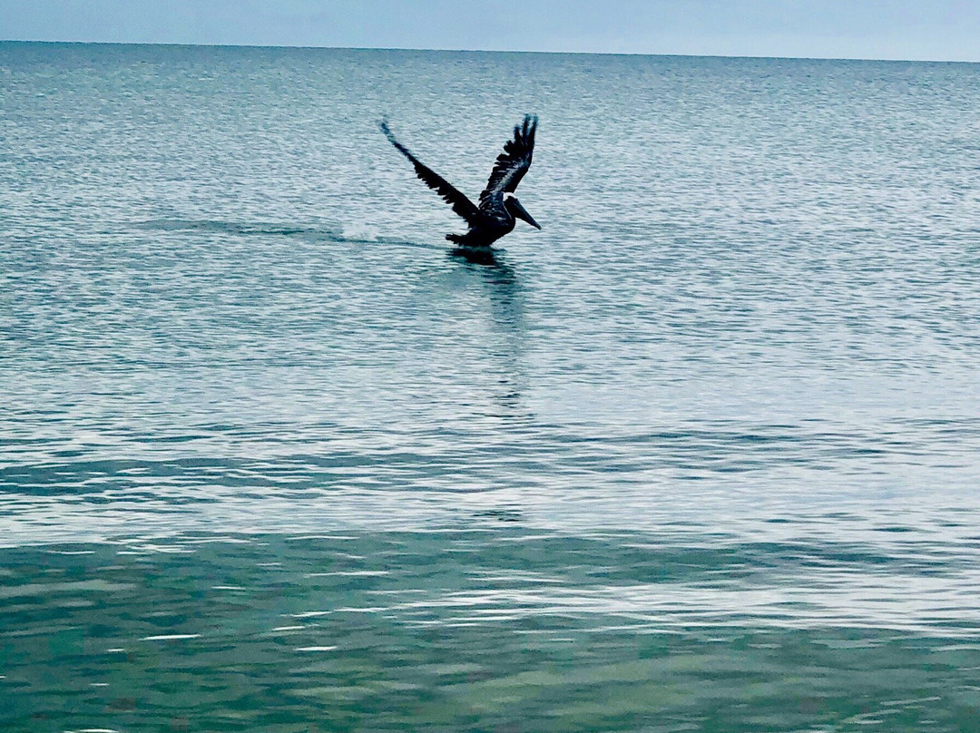 Waterside Inn on the Beach主图