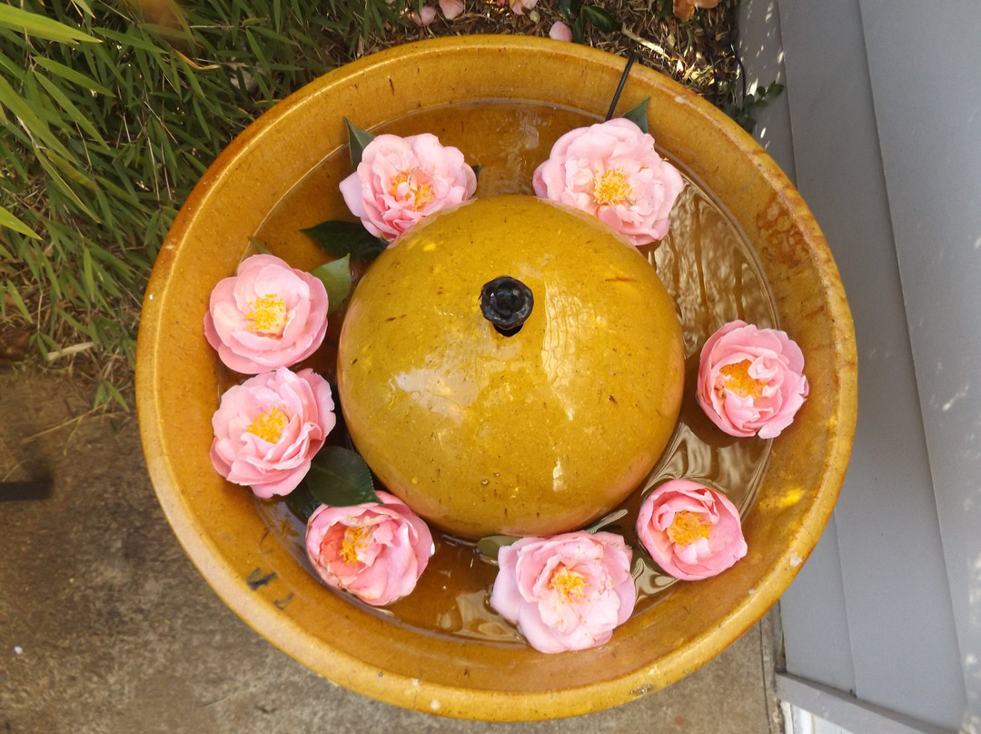 Apsara Day Spa Katoomba-卡通巴必去景点