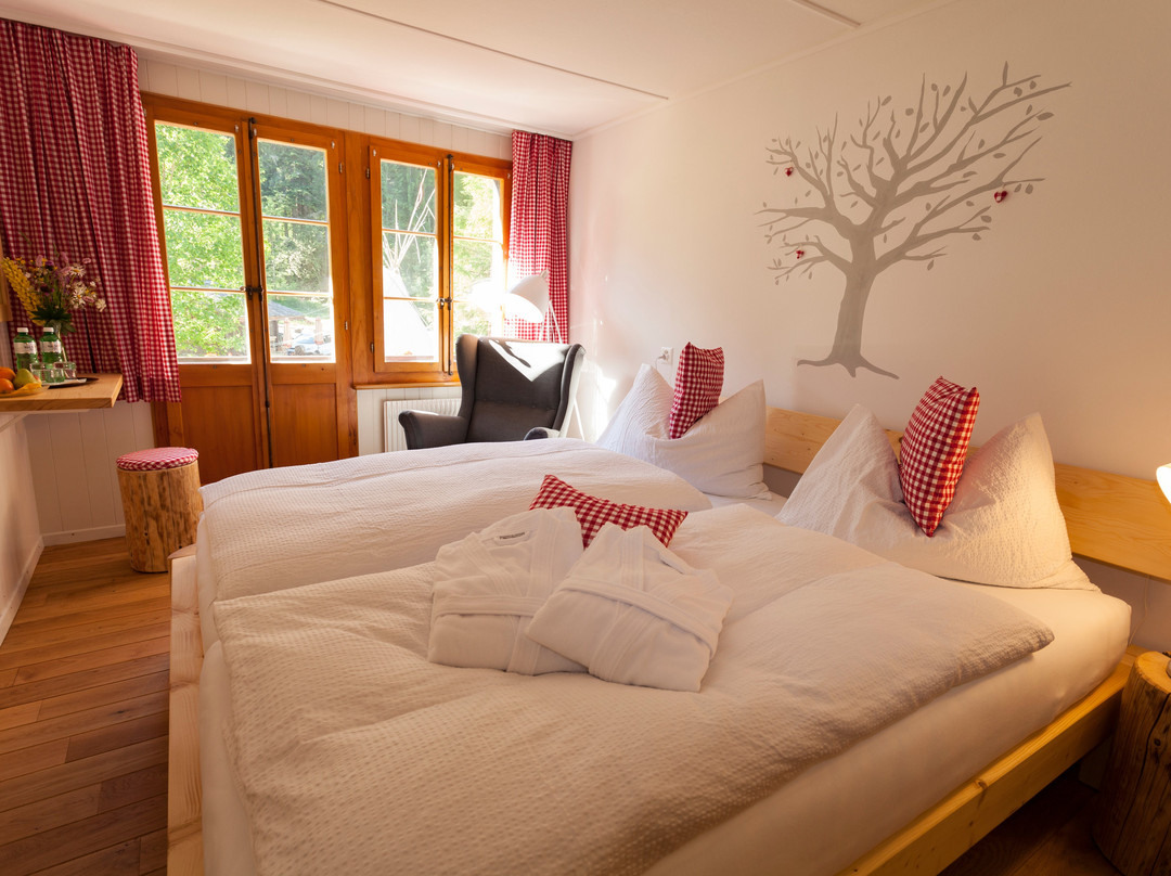Hotel Restaurant Simmenfälle