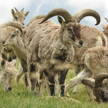 Vista Trip-里希克虚必去景点