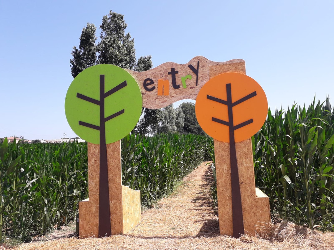 Labirinto di HORT-塞尼加利亚必去景点