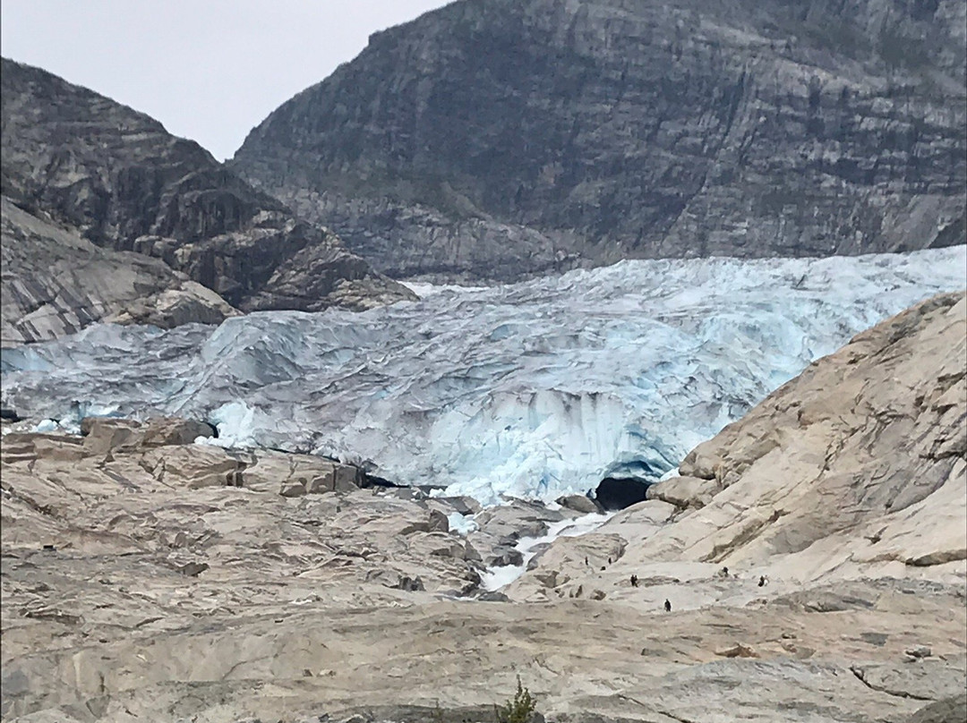 Nigardsbreen Glacier景点图片