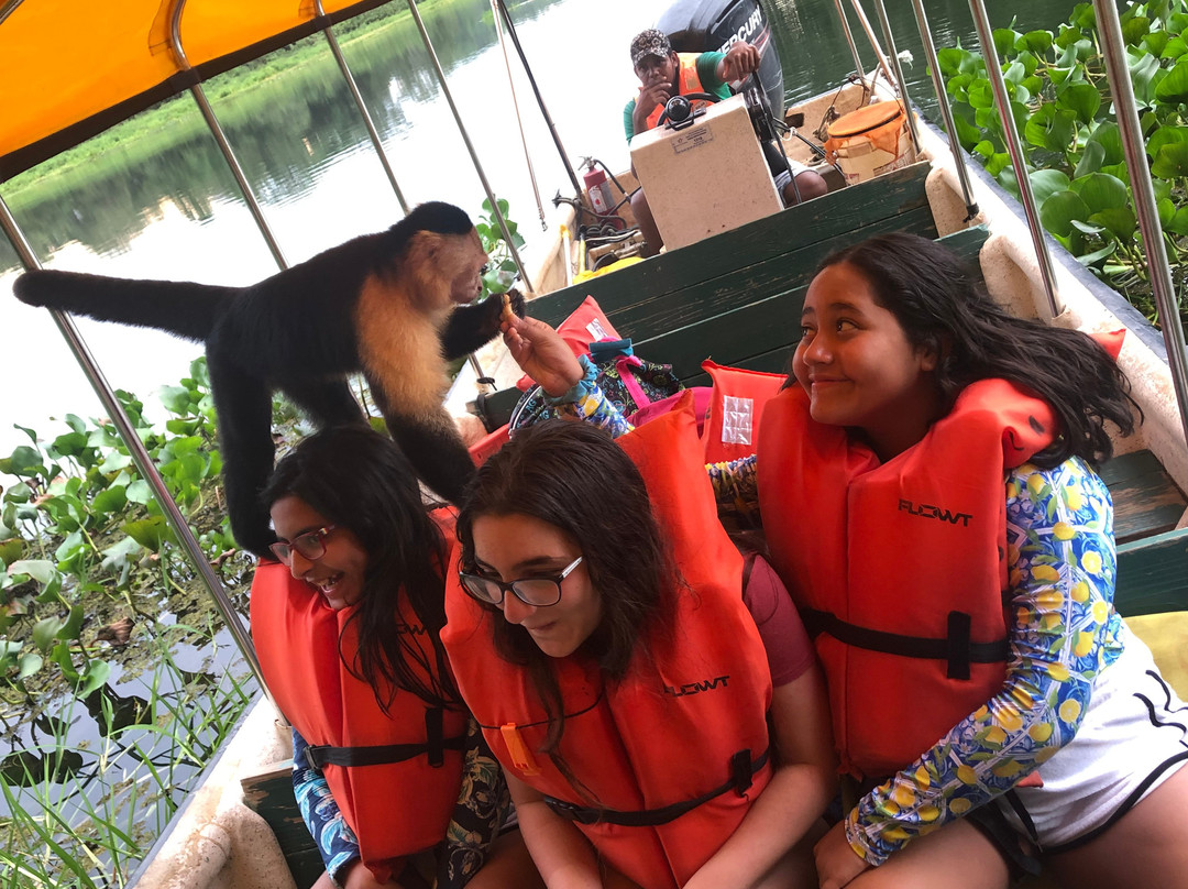 Jungle Land Panama Floating Lo主图