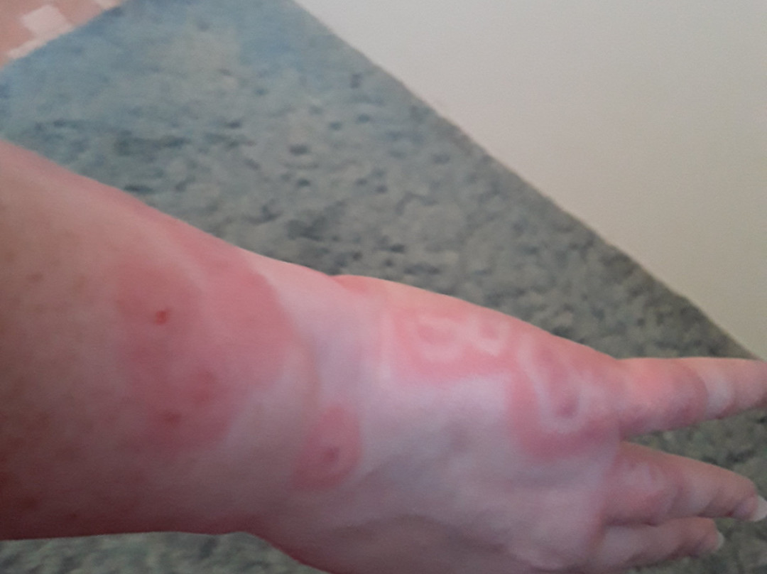 Comfort Suites South Haven Near I-96主图