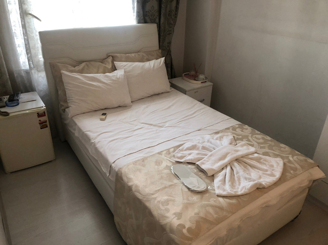 Grand Desi Hotel主图