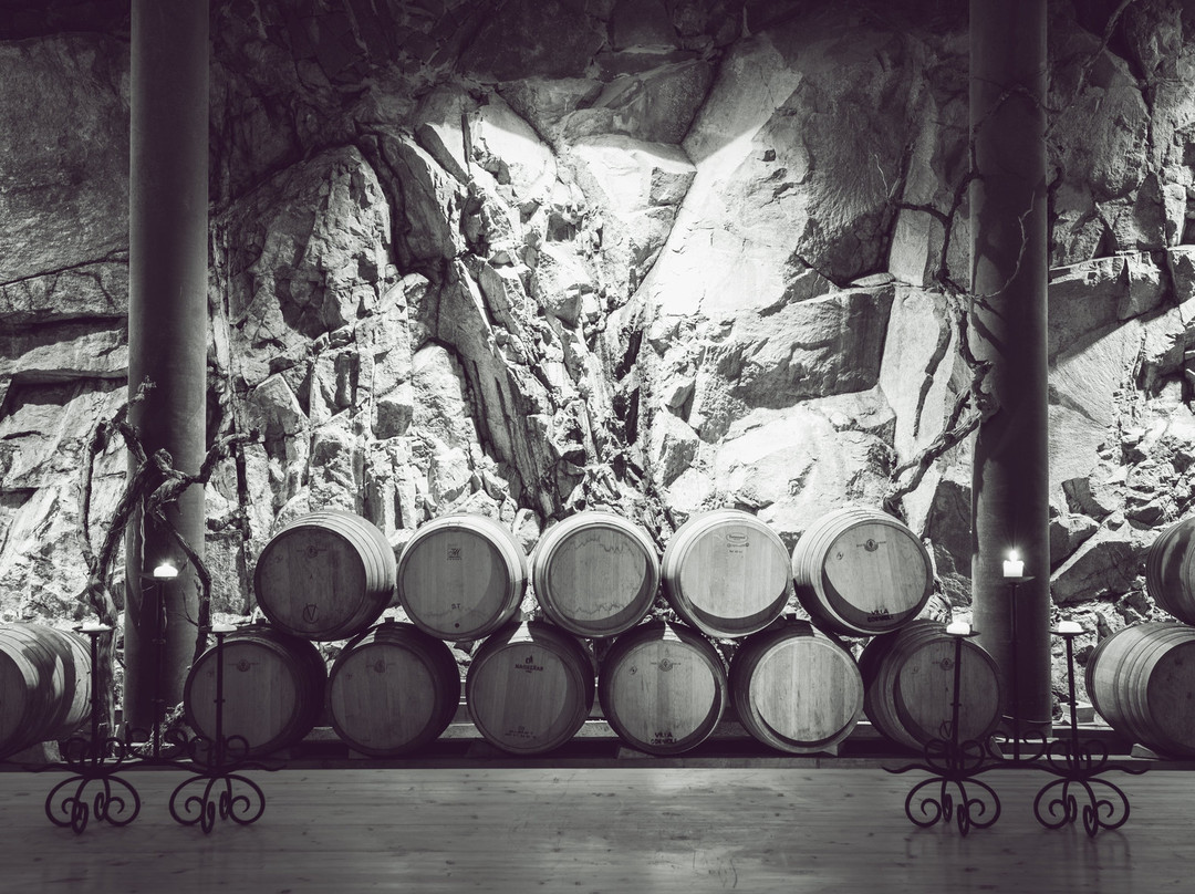 Cantina Villa Corniole景点图片