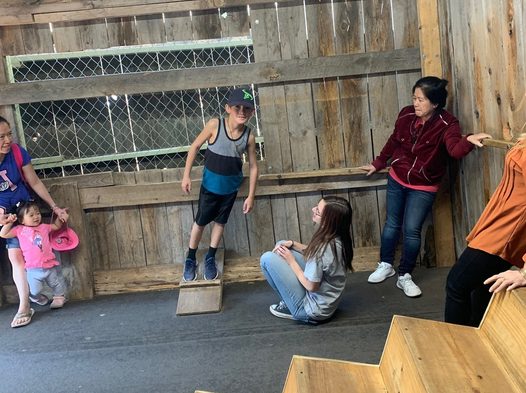 Cosmos Mystery Area-拉皮德城必去景点