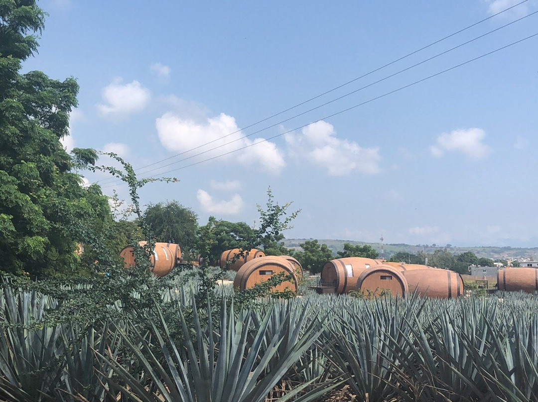 Cofradia Turistico 360-特基拉必去景点