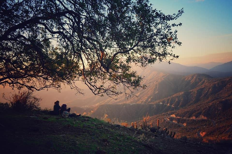 Ecoturismo Tours-Olmue必去景点