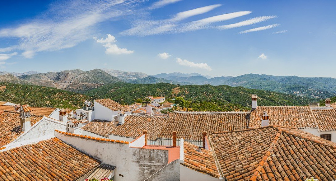 Hotel Los Castanos主图