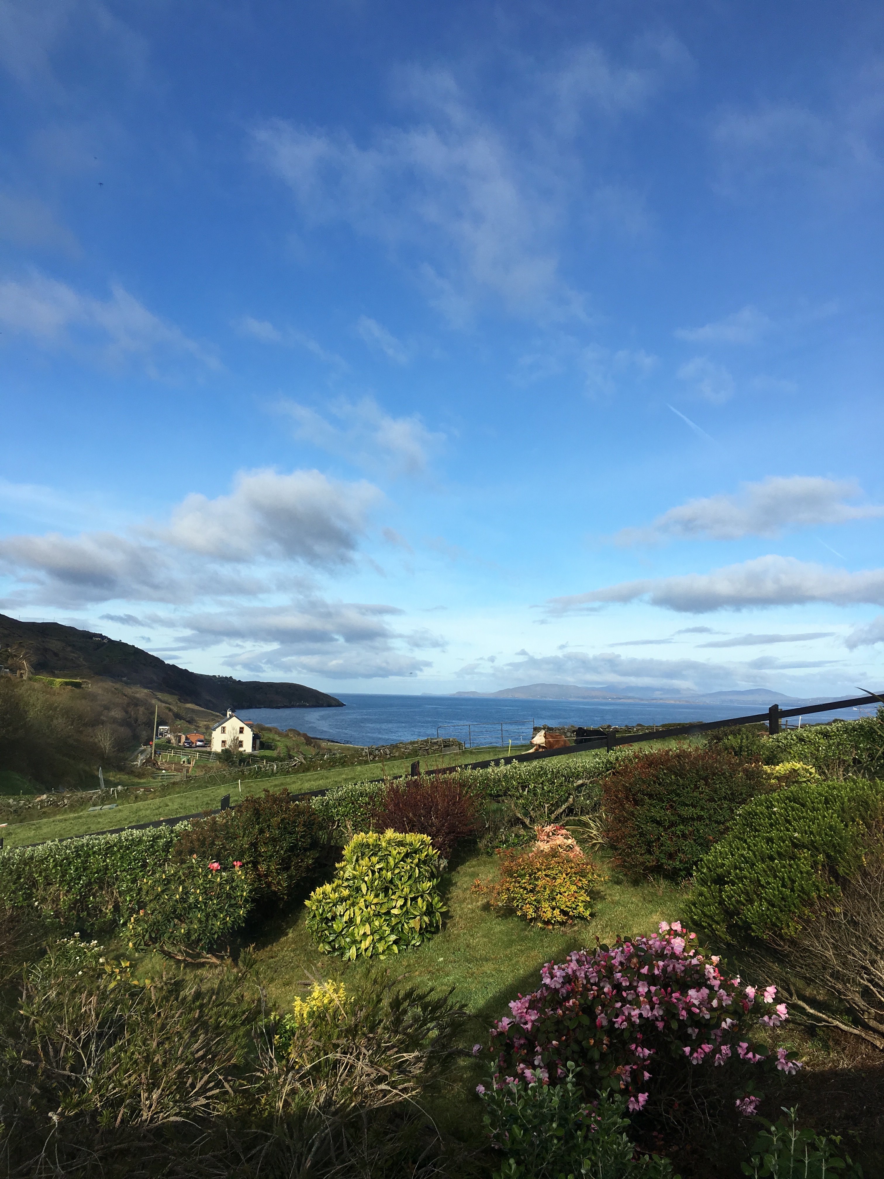 Seamount Farmhouse Bed & Breakfast-酒店景观