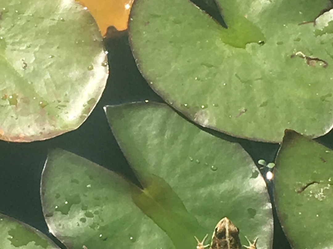 玛克希玛 - 蒙特斯费雷洛斯主图