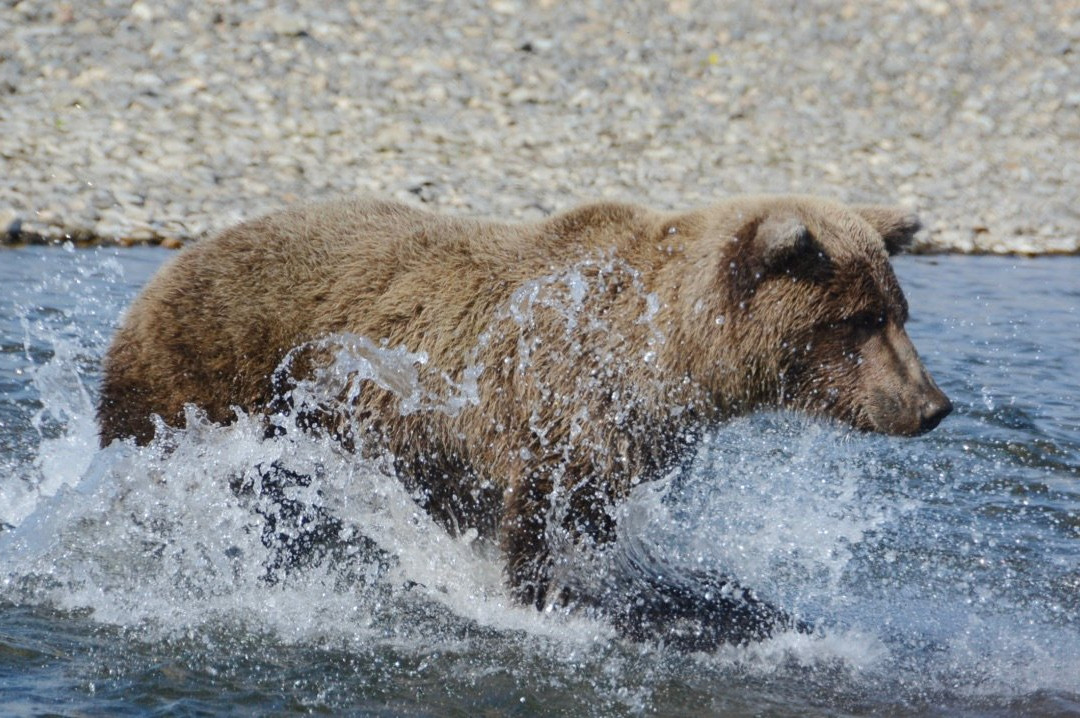 Judy's Touch of Class B&B主图