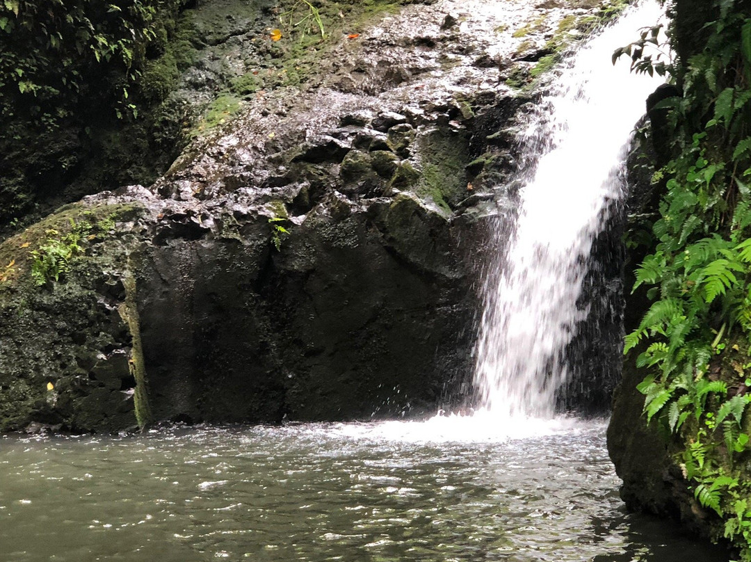 Maunawili Falls-科纳必去景点