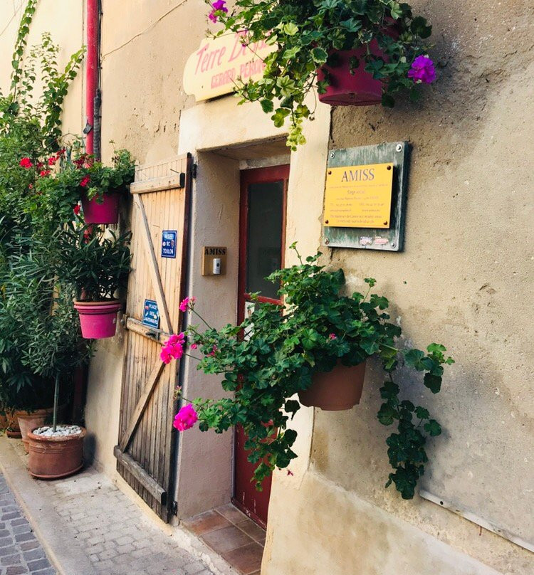 Cassis Forest-卡西斯必去景点