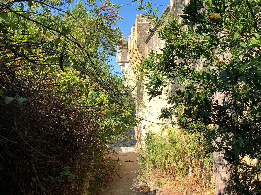 Chateau d'Ansouis景点图片